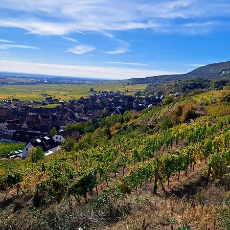 Gite Entre Vignes Et Vergers Maison Historique Gueberschwihr Extérieur photo