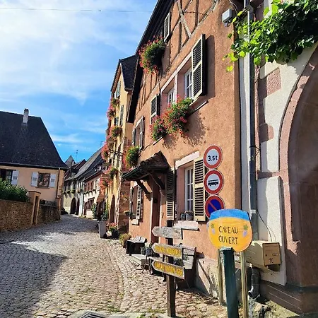 Gite Entre Vignes Et Vergers Maison Historique Gueberschwihr Extérieur photo
