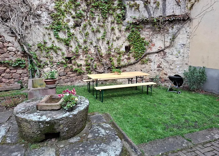 Gite Entre Vignes Et Vergers Maison Historique