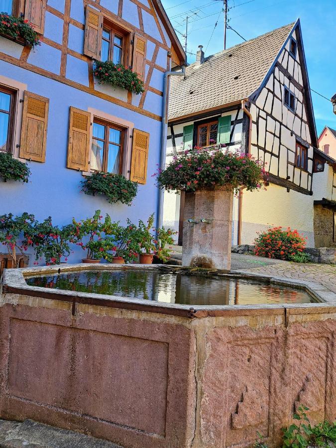 Entre Vignes Et Vergers Maison Historique * Gueberschwihr